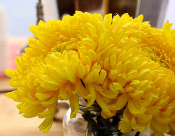 黄色の菊の花のブーケ №48407