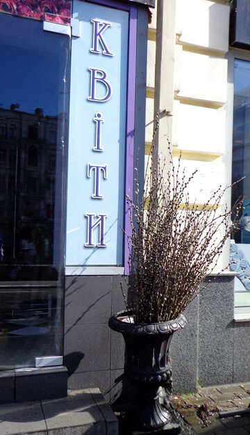 Spring flowers near the branch store №48509