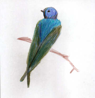 Children`s drawing bird African swallow