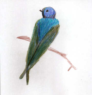 Children`s drawing bird African swallow №48239