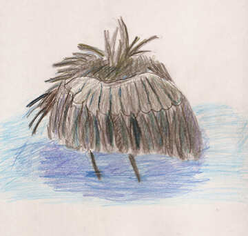 Dibujo del pájaro de los niños garza negro №48241