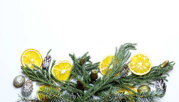 Christmas wreath with tangerines №48202