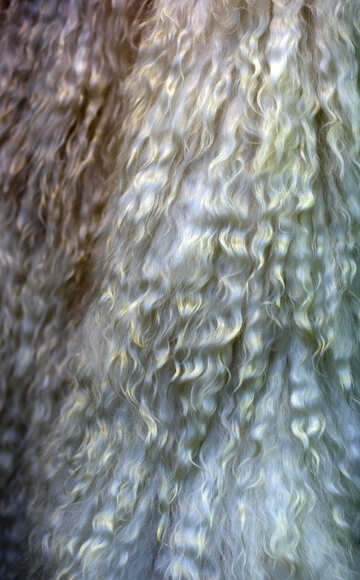 Natural wool №48948