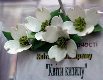 Білі квіти з фоамірана №48634