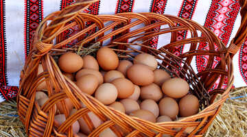 Los huevos de gallina en una cesta №48404