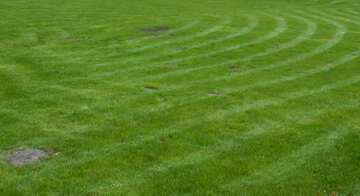芝生の上のパターン №48561