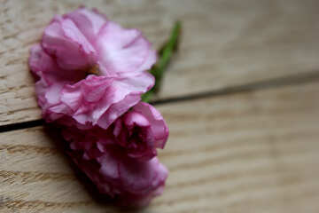 Flores de sakura em um fundo de madeira №48617