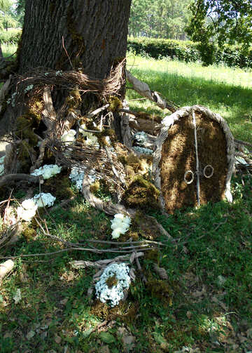 El paisaje alrededor del árbol para la fotografía de boda puertas de los brotes en el agujero №48451