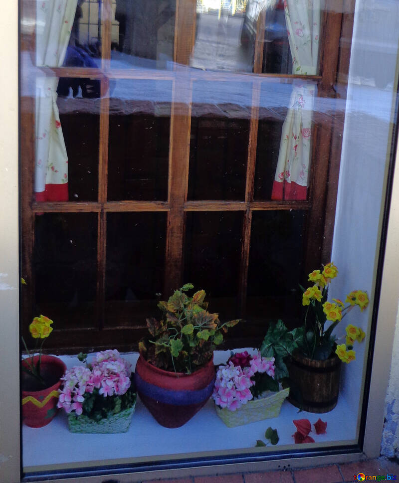 Flowers on the windowsill №48485
