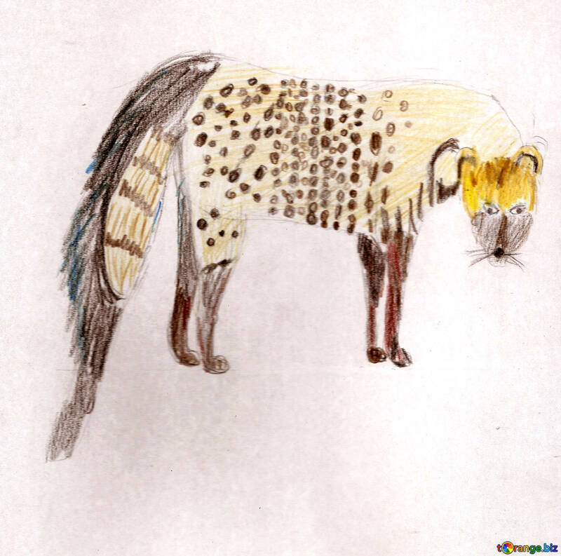 Children`s drawing African civet №48237
