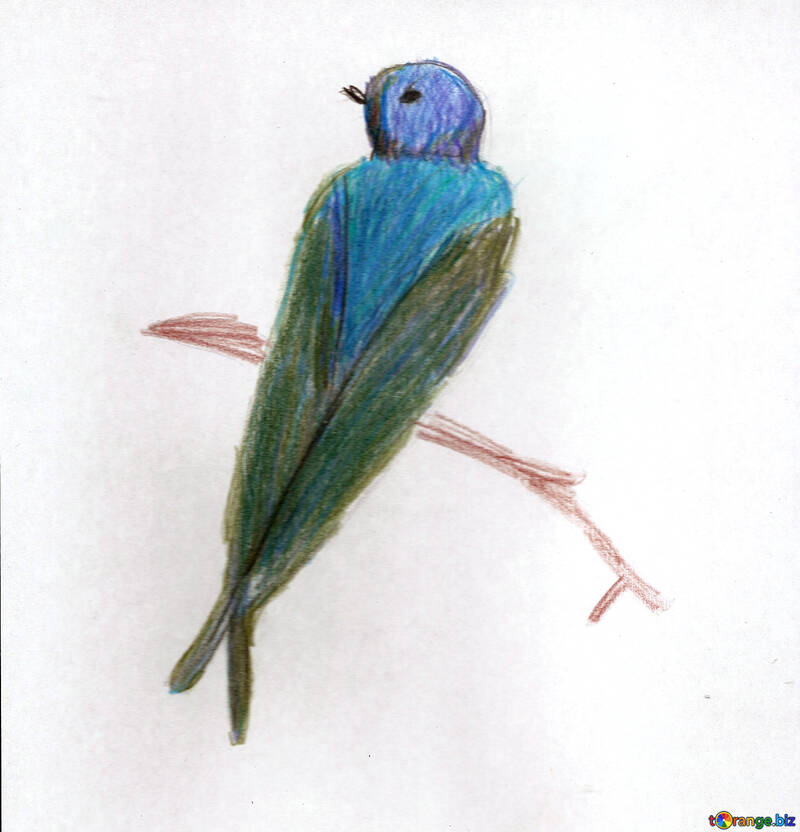 Children`s drawing bird African swallow №48239
