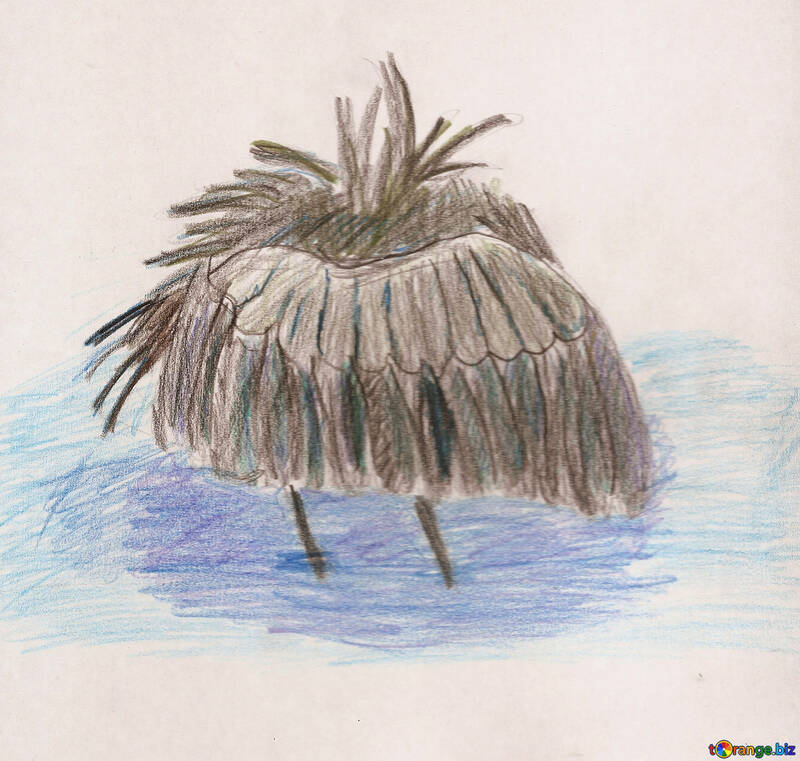 Children`s drawing bird black heron №48241