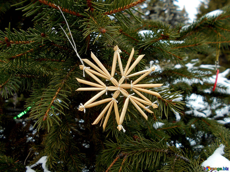 Estrellas de paja en el árbol de Navidad №48534