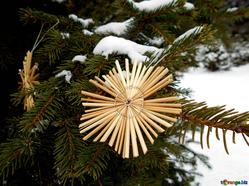 Etoiles de paille sur l`arbre de Noël №48538