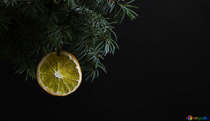 Tanne Zweig auf schwarzem Hintergrund mit Goldfäden isoliert und einen Stift hält eine glühende trockene Scheibe Orange, Zitrone, Limette, Mandarine oder Grapefruit in der oberen Rahmenecke. <font>Neujahr und Weihnachten leere Vorlage. <font>Space Platz für Text.</font></font> №48137