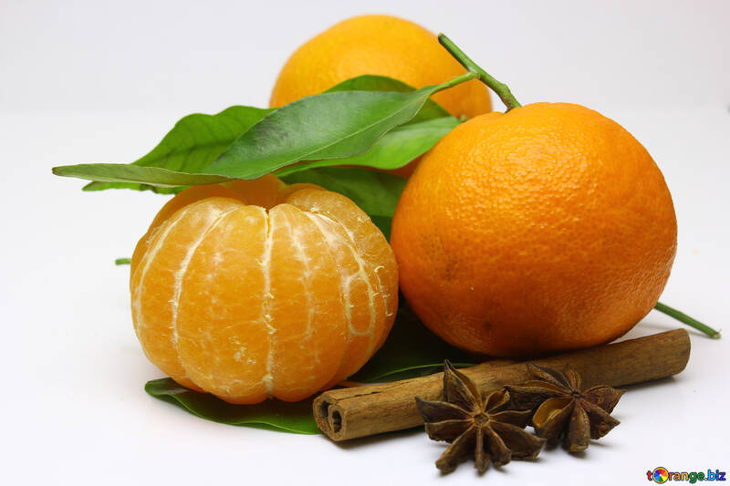 The aroma of tangerines №48205