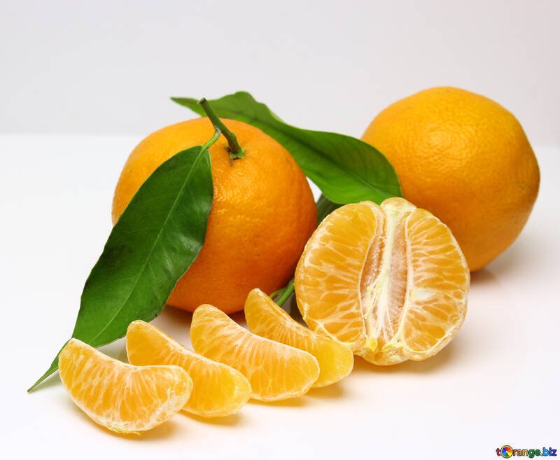 Belles mandarins №48221