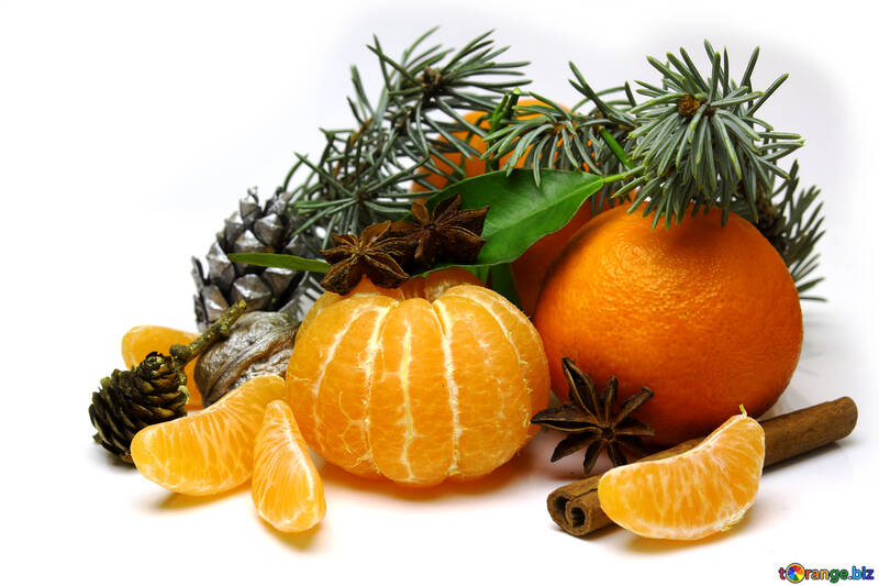 Weihnachten Mandarinen in der Zusammensetzung №48210