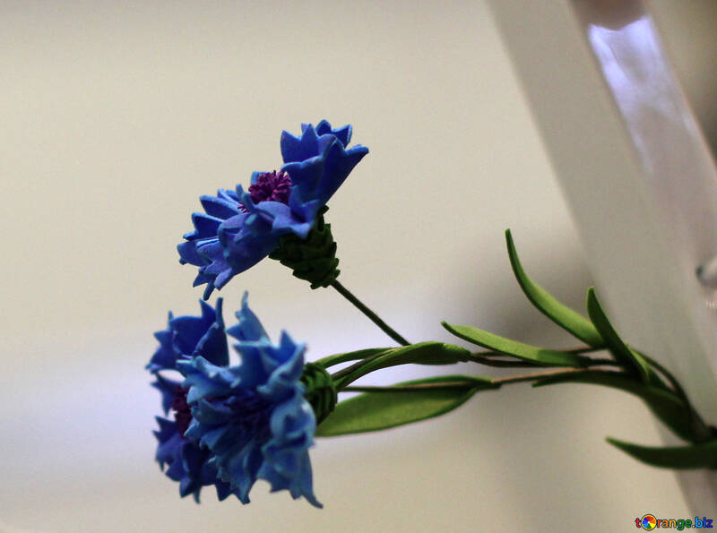 Fleur Bleuet de foamirana №48636