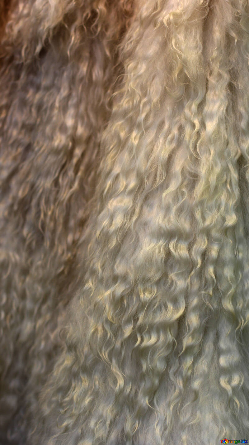 Natural wool №48949
