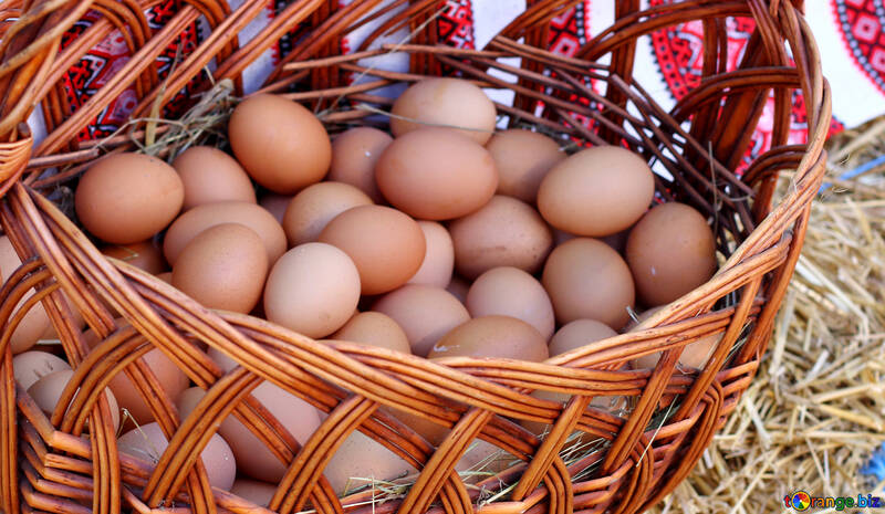 Курячі яйця в кошику №48403