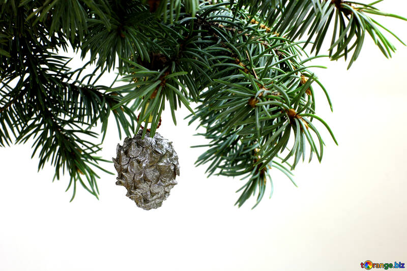 Fir tree branch isolated on white background with silver pine cone in top frame corner.  №48125
