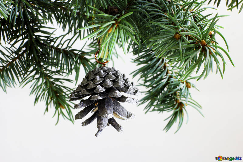 Abete ramo di un albero isolato su sfondo bianco con pigna d`argento in alto a cornice. <font>Capodanno e Natale modello vuoto. <font>Grande posto copyspace bianco per il testo o di un logo.</font></font> №48123