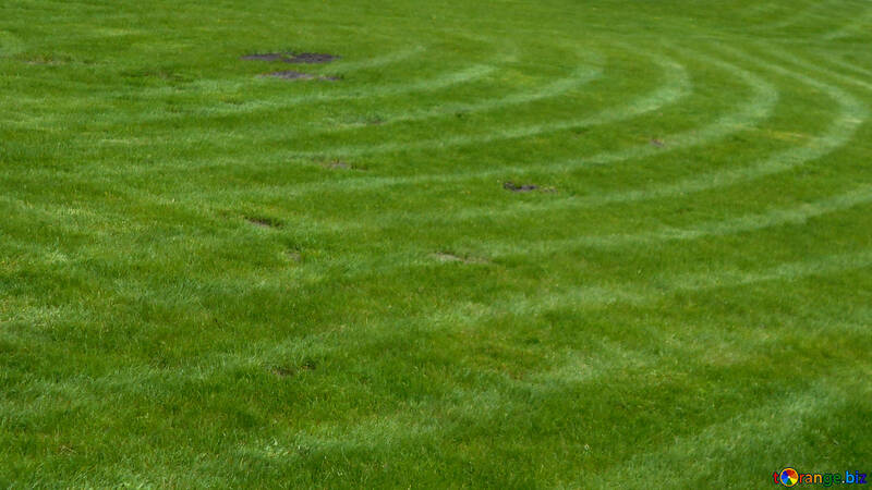 Le motif sur la pelouse №48560