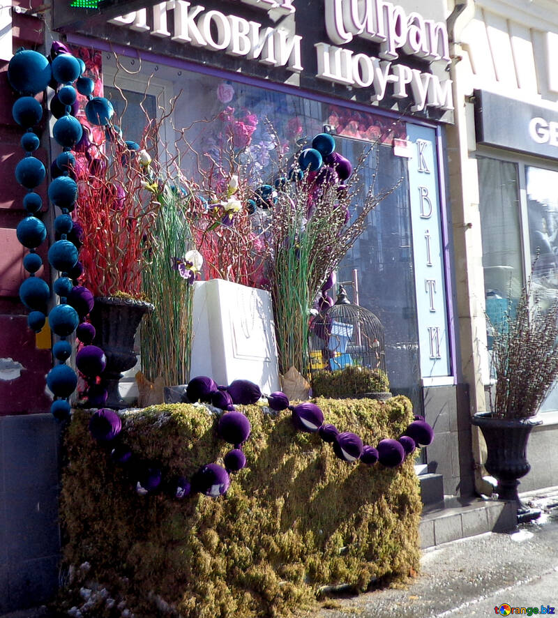 Showcase flower shop №48506