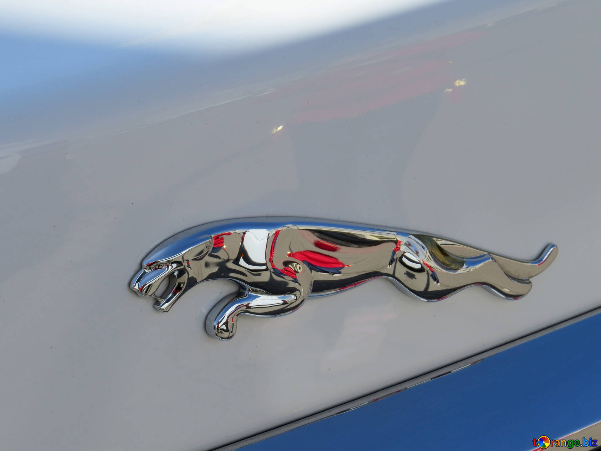 車のエンブレム 無料の写真 ジャガーのロゴ 無料の写真 記章 Torange Biz