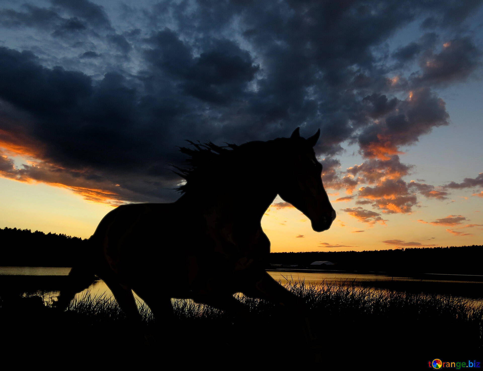 Sunset ride  Horses  Animals Background Wallpapers on Desktop Nexus  Image 1676082