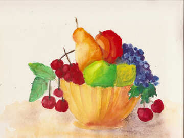 Drawing painted watercolor still life with fruit