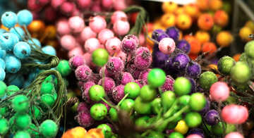 Decorative berries for creativity №49155