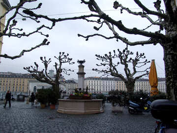 Bäume in Genf №49989
