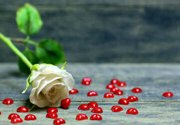 Flor color de rosa y los corazones en un fondo de madera №49210