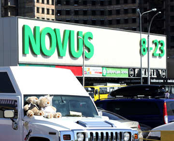 Novus shop sign №49098