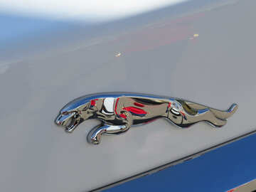 Jaguar logo №49006