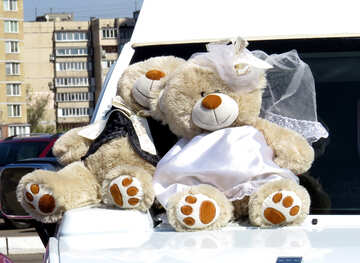 teddy bear weddings  bears №49002