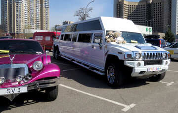 A white and purpal cars limo №49009
