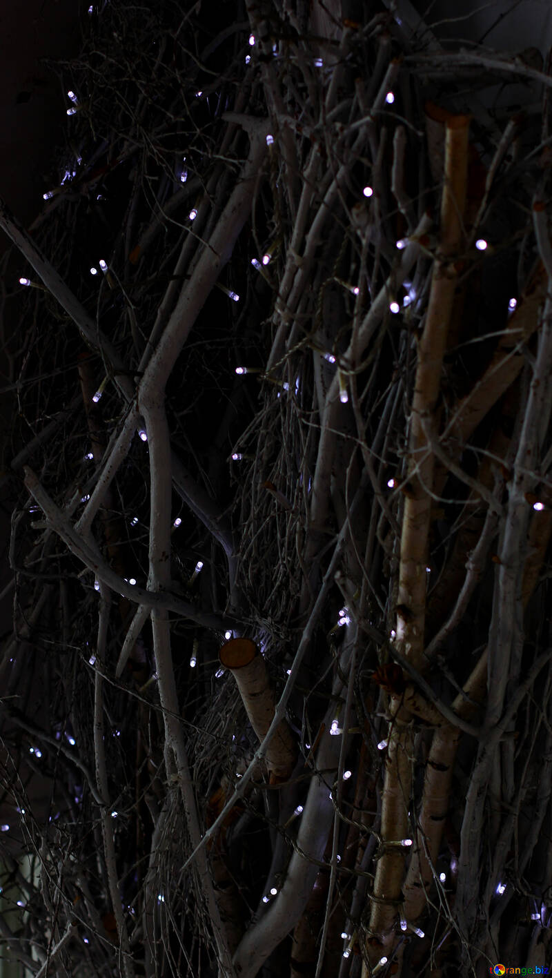 Ghirlanda di luci su un albero №49270