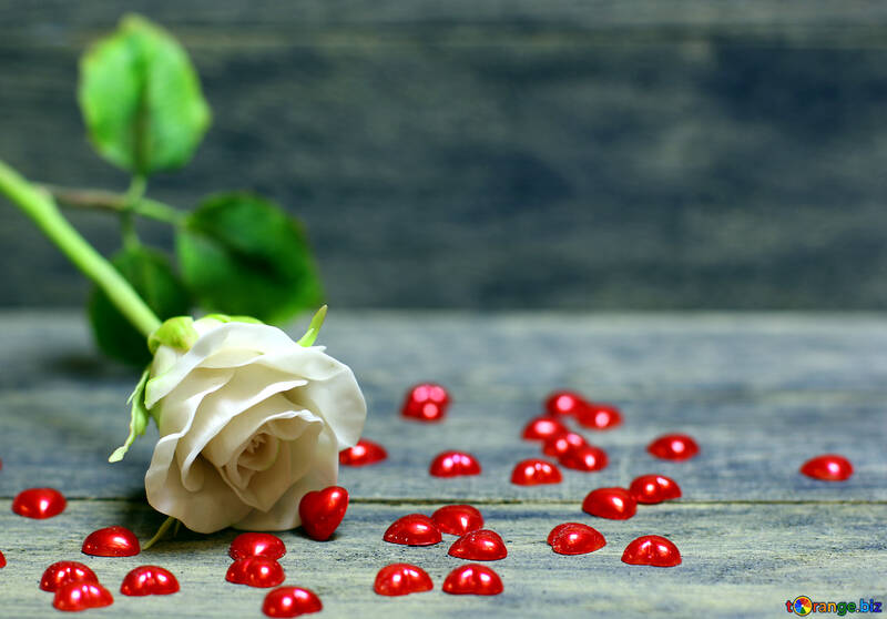 Rosa Fiore e cuori su uno sfondo di legno №49210