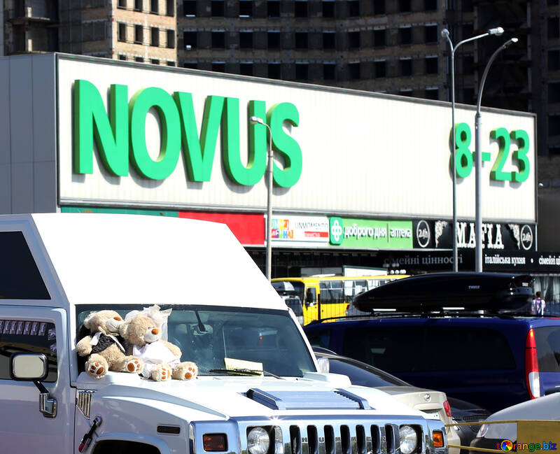 Novus shop sign №49098