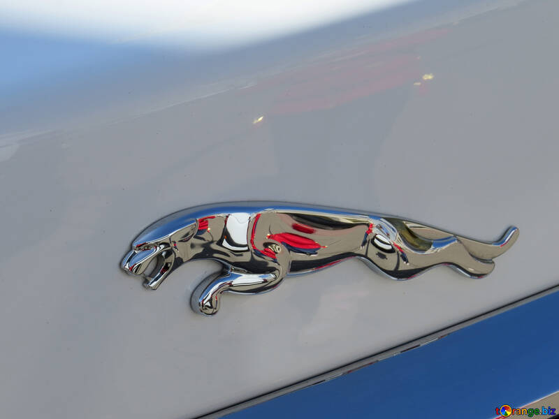 Jaguar-logo №49006
