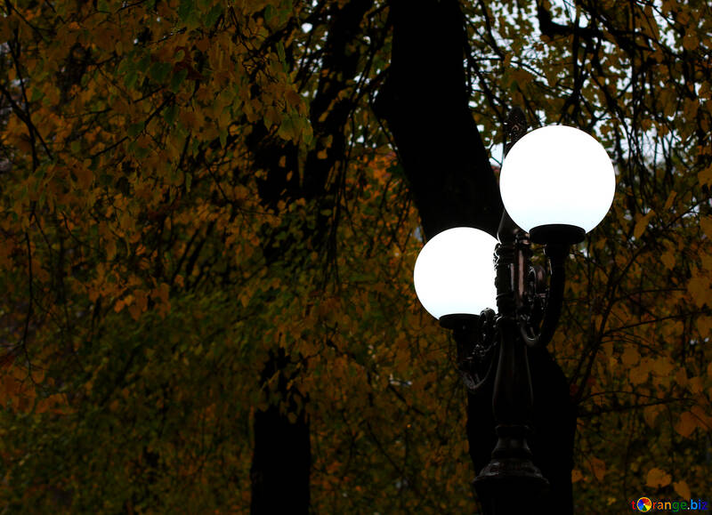 Conventional street lamp №49317