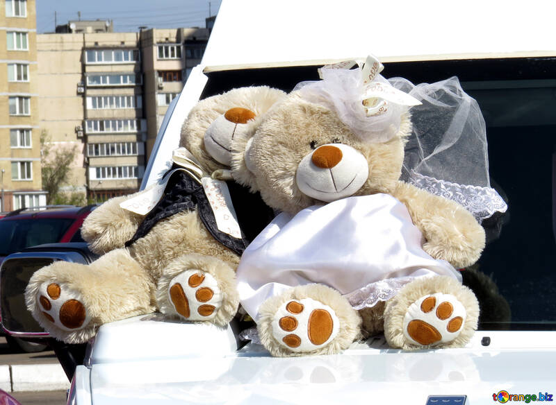 Teddybär Hochzeiten Bären №49002