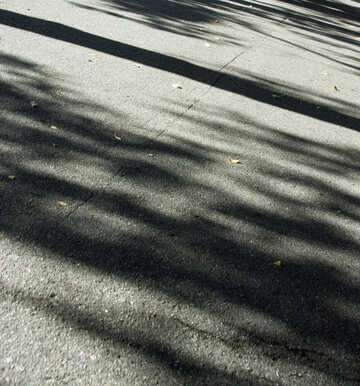 Sombras en asfalto №5636