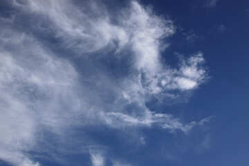 Wolken wie an Tiere  №5768