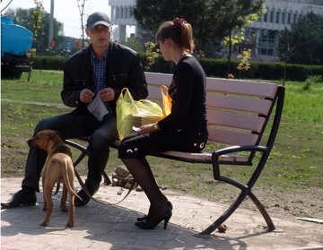 Paare auf einer Bank mit einem Hund №5377