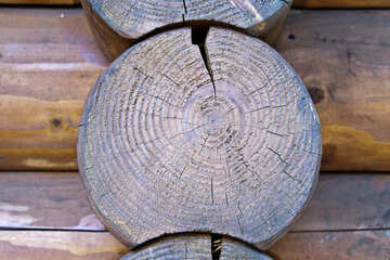 Speel  logs . log structure . texture. №5670