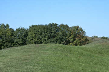 Verde colinas №5628